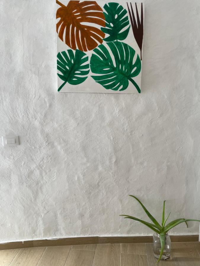 アガエテ Casa El Condeヴィラ エクステリア 写真